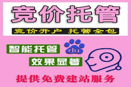 SEM推广代运营案例：优化策略